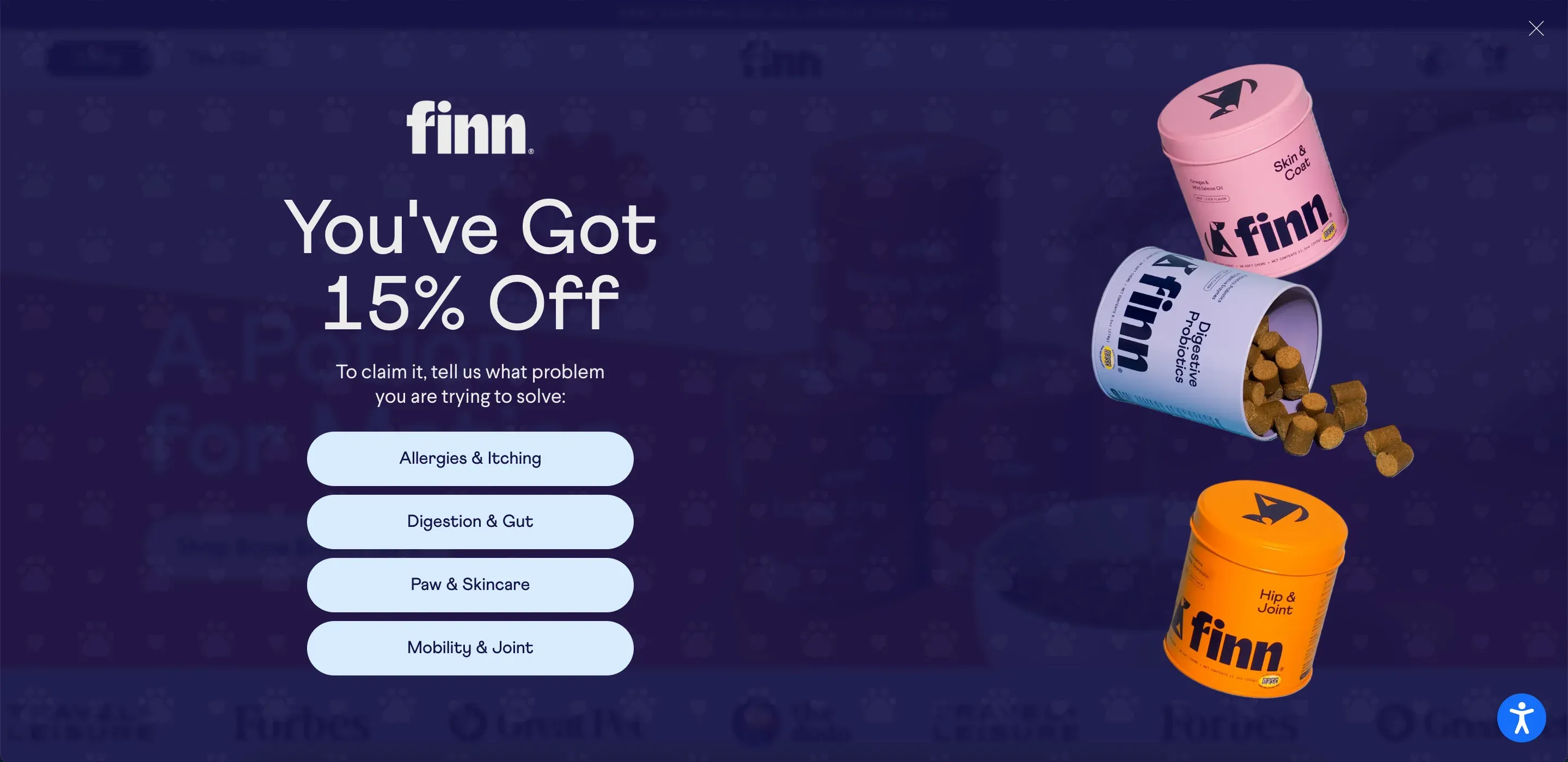 full screen popup example