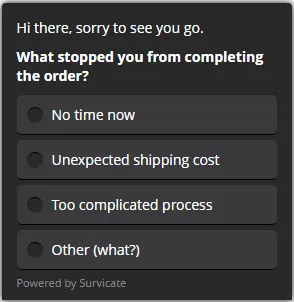 An website exit survey
