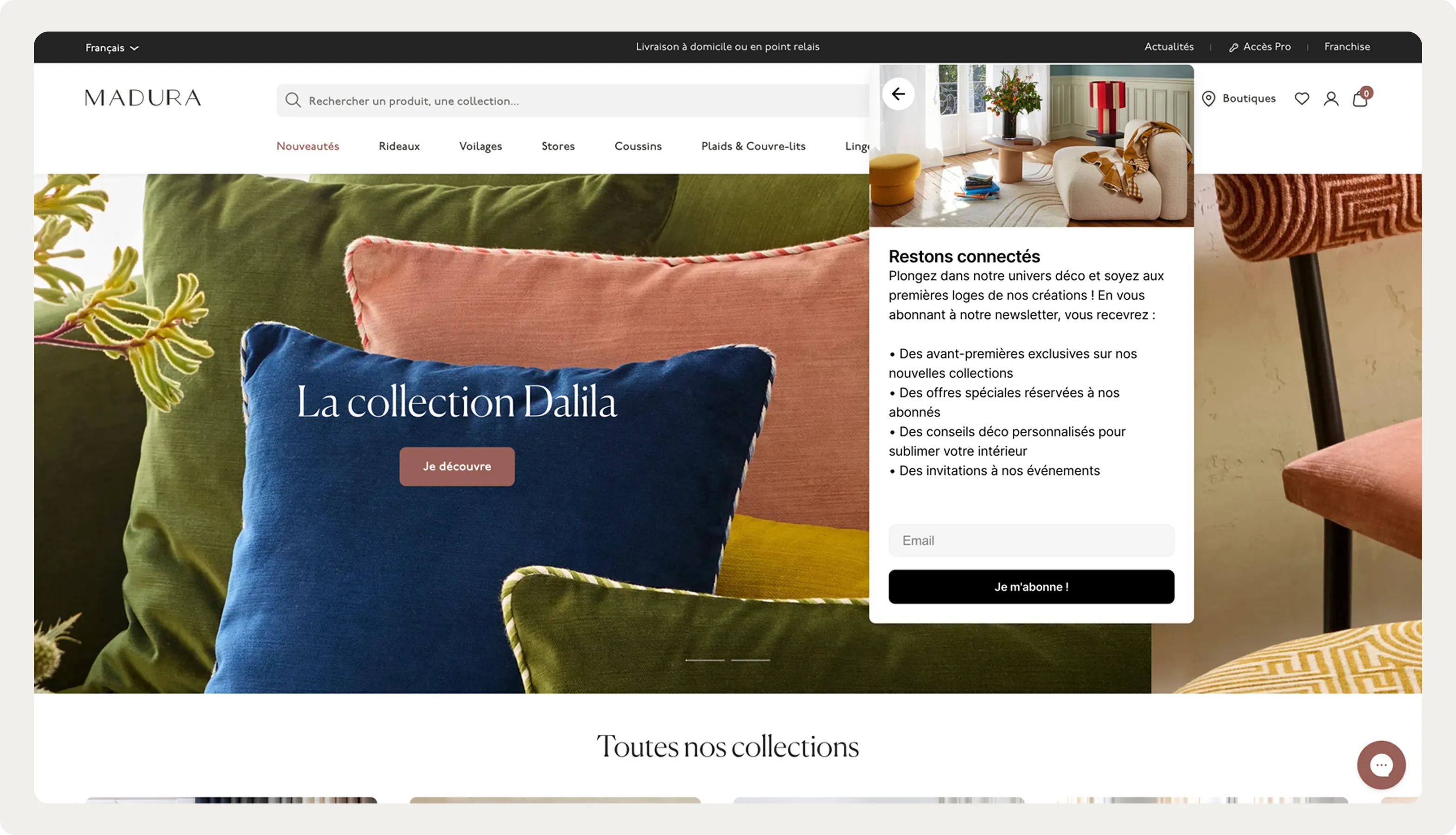 Website showcasing the "Dalila" cushion collection with a newsletter signup prompt and cozy interior images.