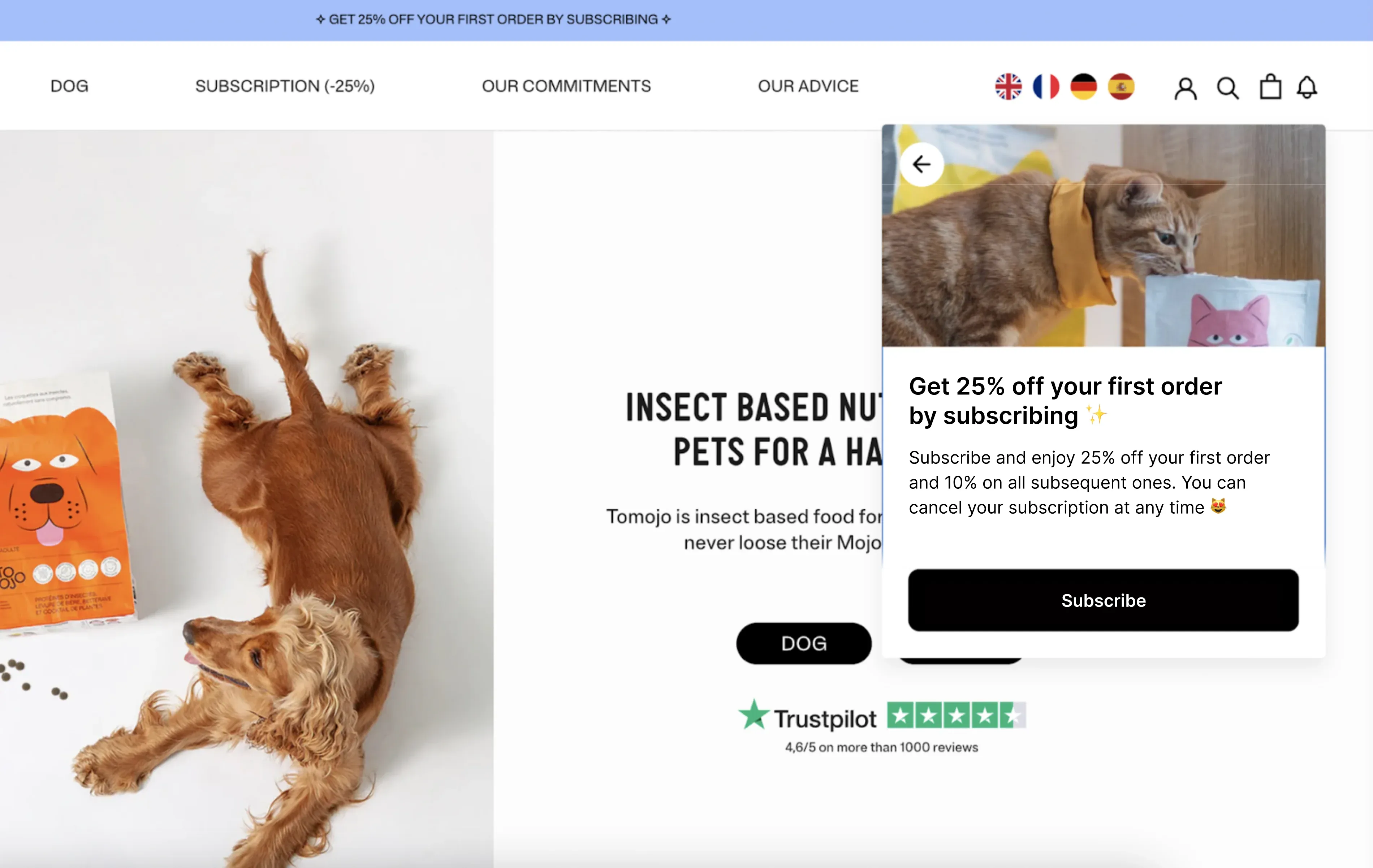 upsell on websites onsite notifications