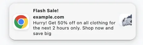 push notification flash sale