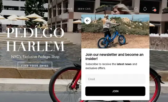onsite notifications newsletter signup leads