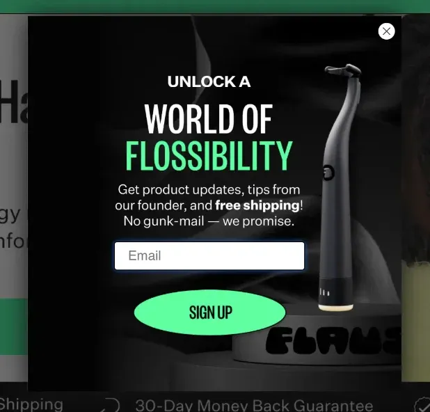 popup flaus for lead gen