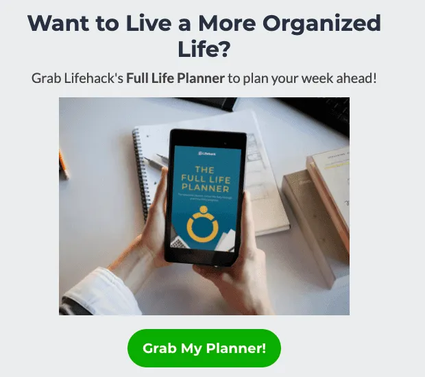 Planner lead magnet example