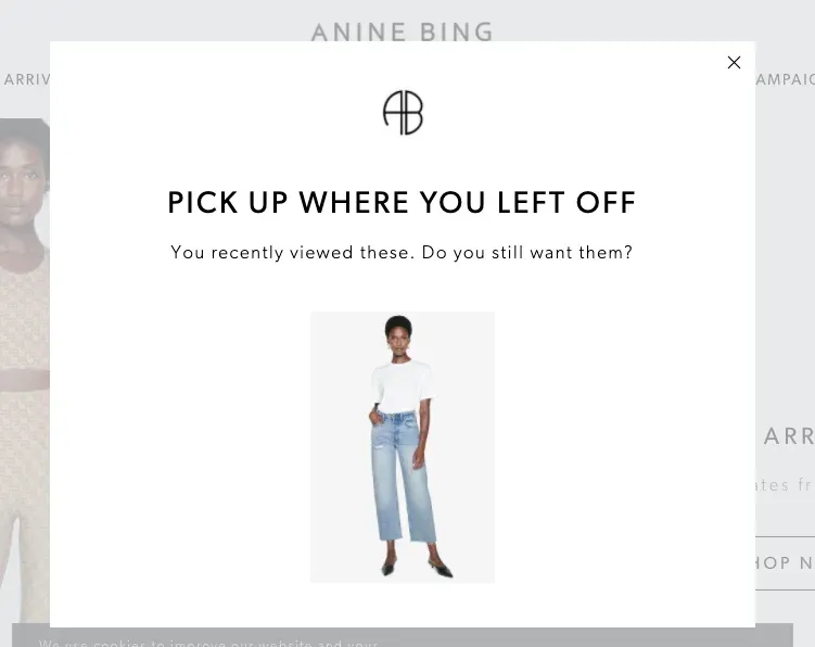 cart abandonment popup