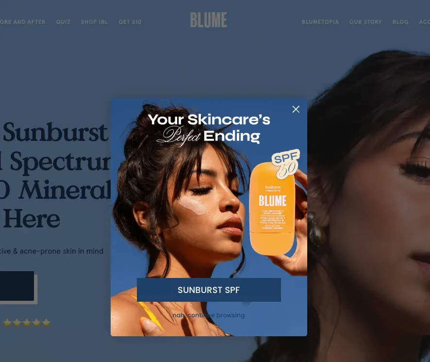 wisepops campaign example 3