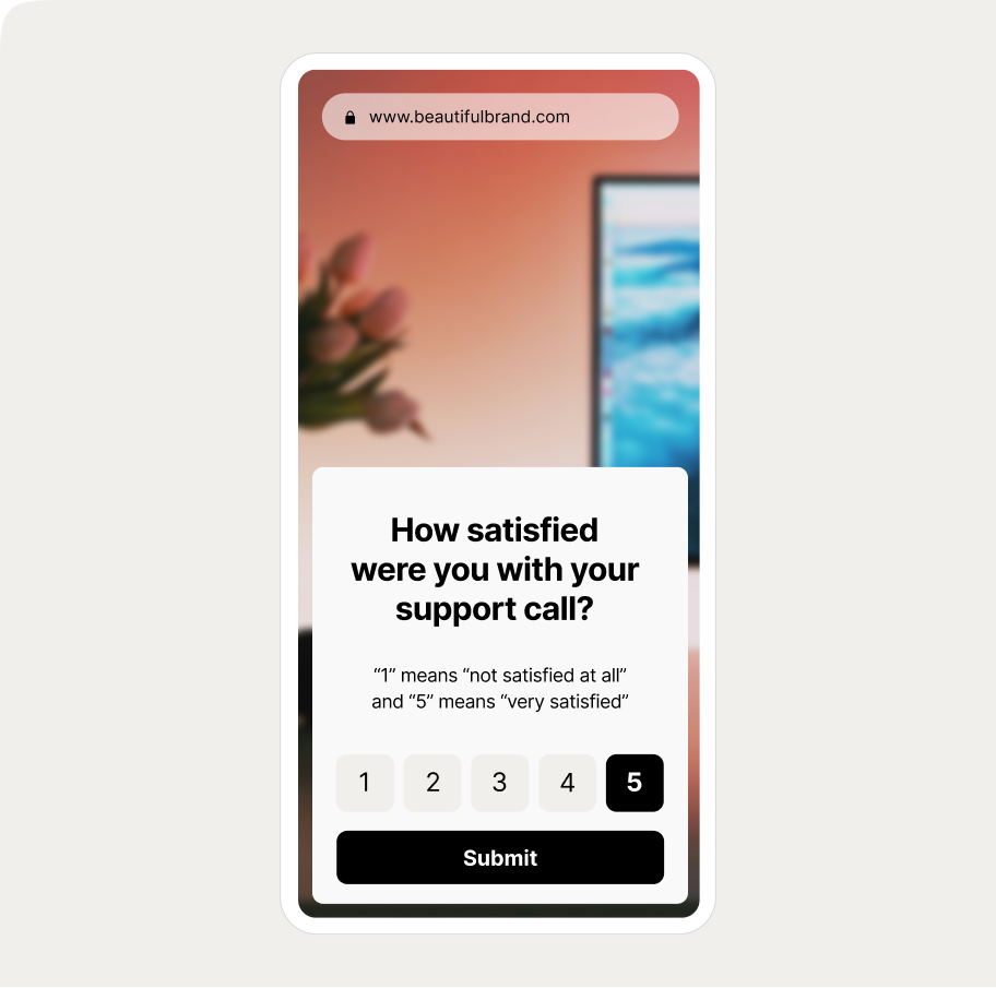 Support Satisfaction