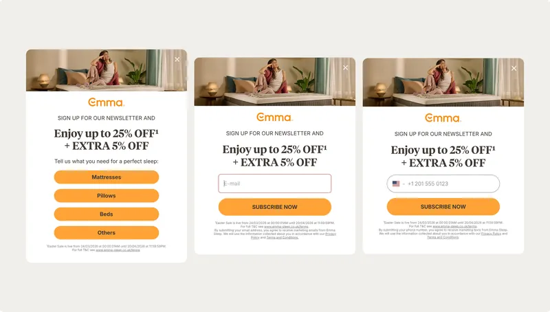 Wisepops email capture campaign