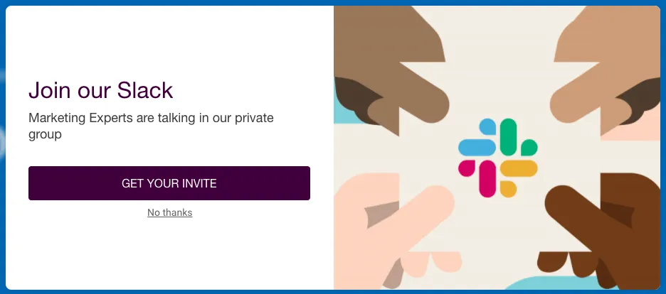 Exclusive community lead magnet example