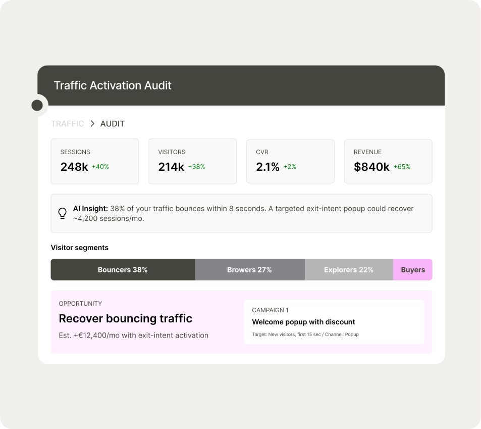 Traffic Activation Audit dashboard showing sessions, visitors, CVR, and revenue data with visitor segments and campaign opportunities.
