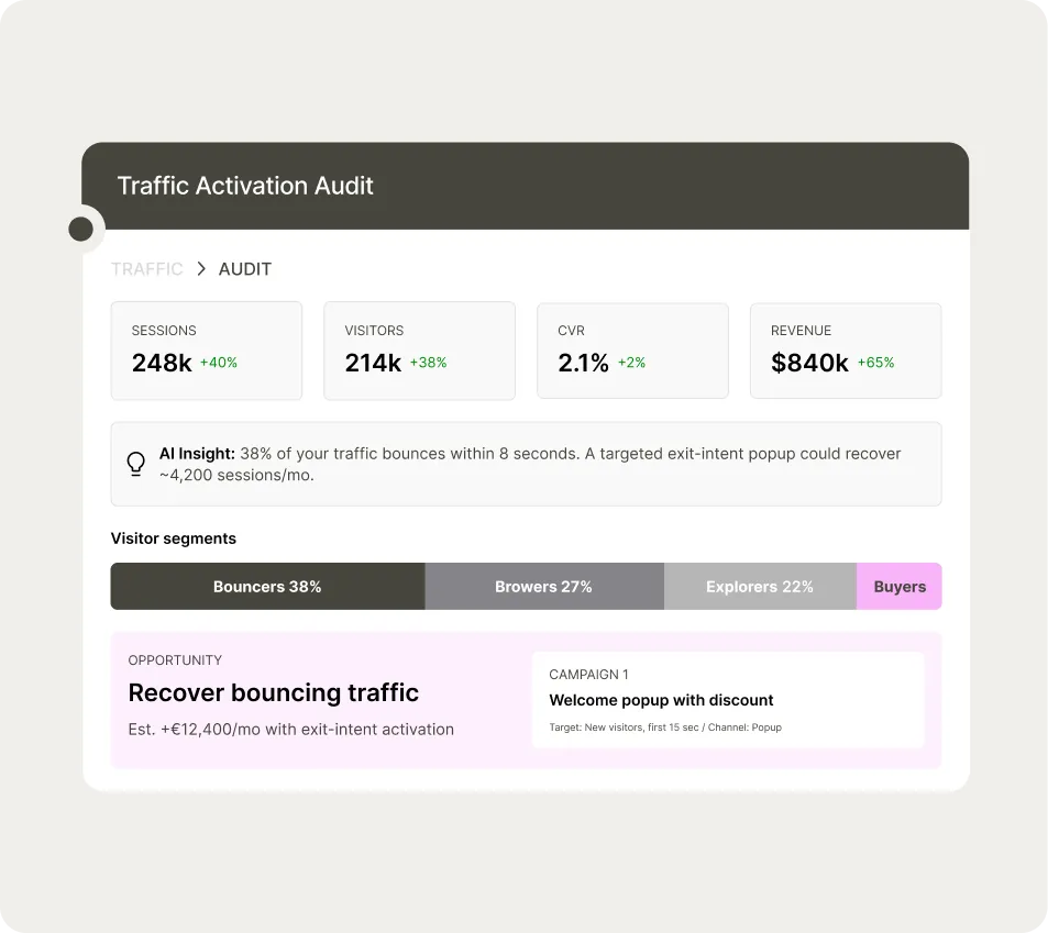 Traffic Activation Audit dashboard showing sessions, visitors, CVR, and revenue data with visitor segments and campaign opportunities.