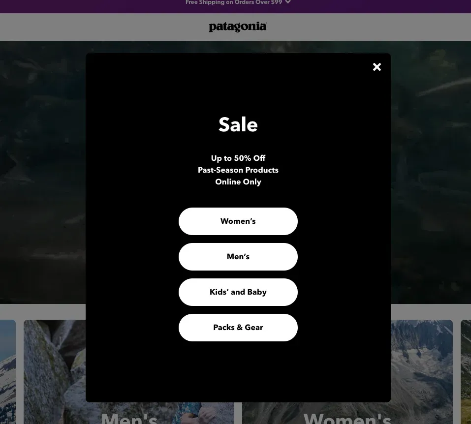 patagonia discounted product recommendations