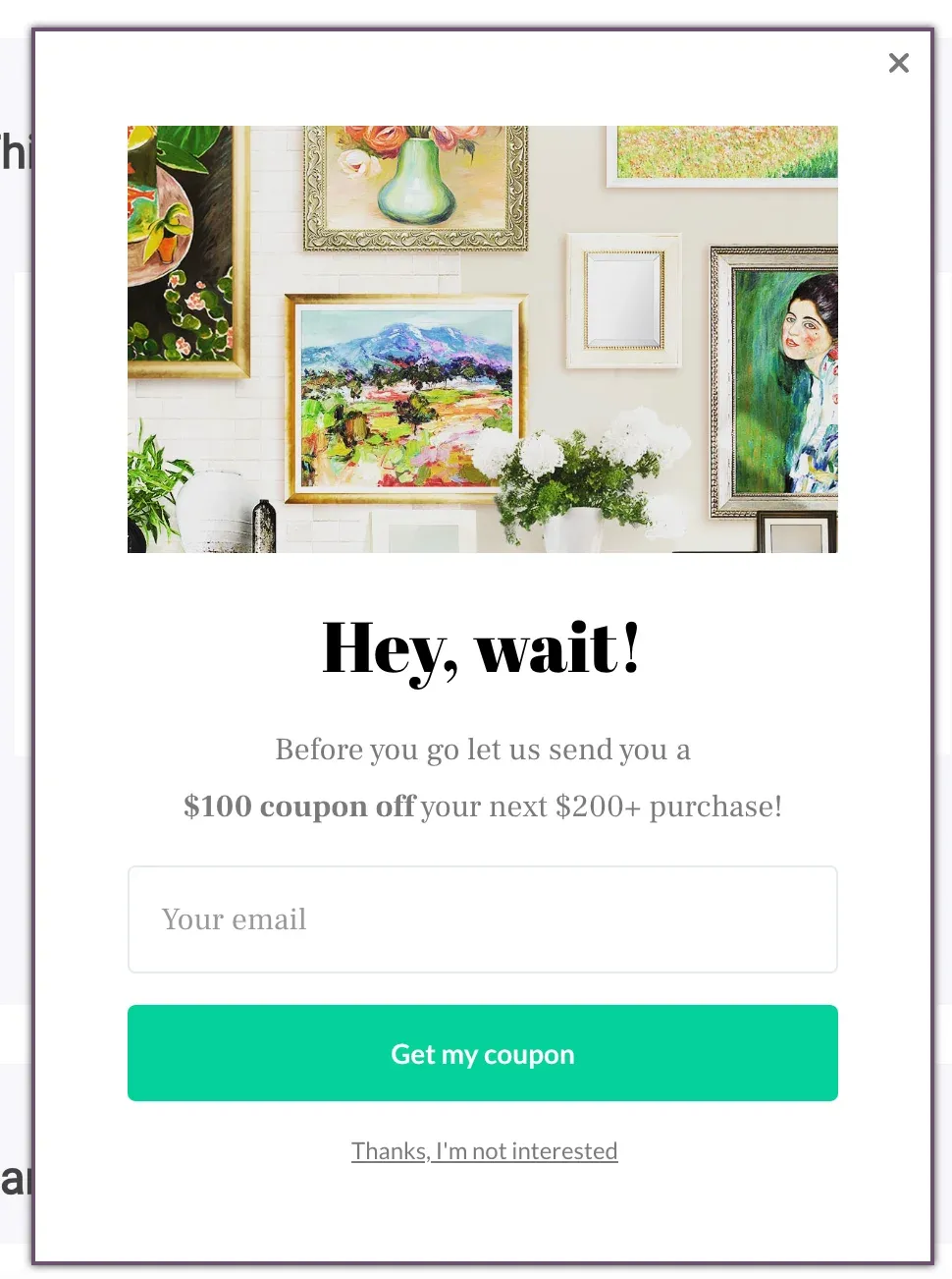 ecommerce popup with a coupon