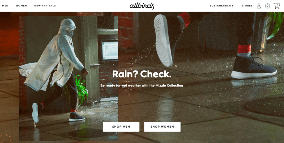 Allbirds ecommerce success story example