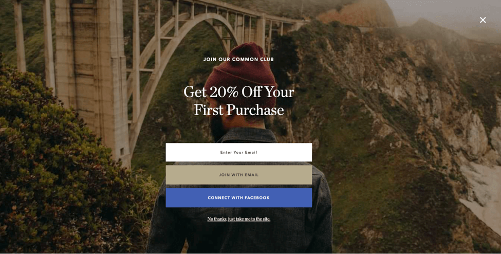 Taylor Stitch whole screen popup design