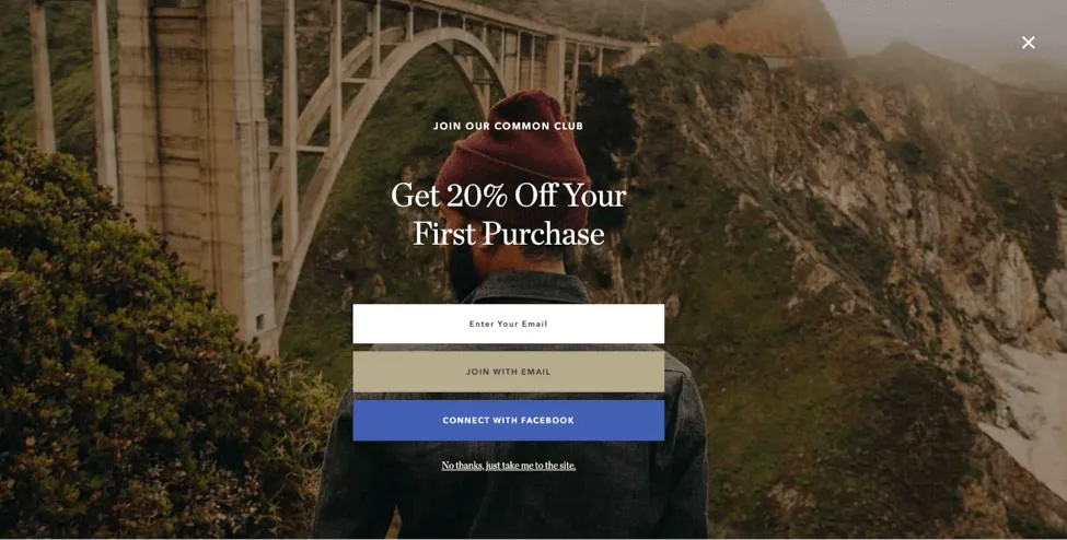 Taylor Stitch whole screen popup design