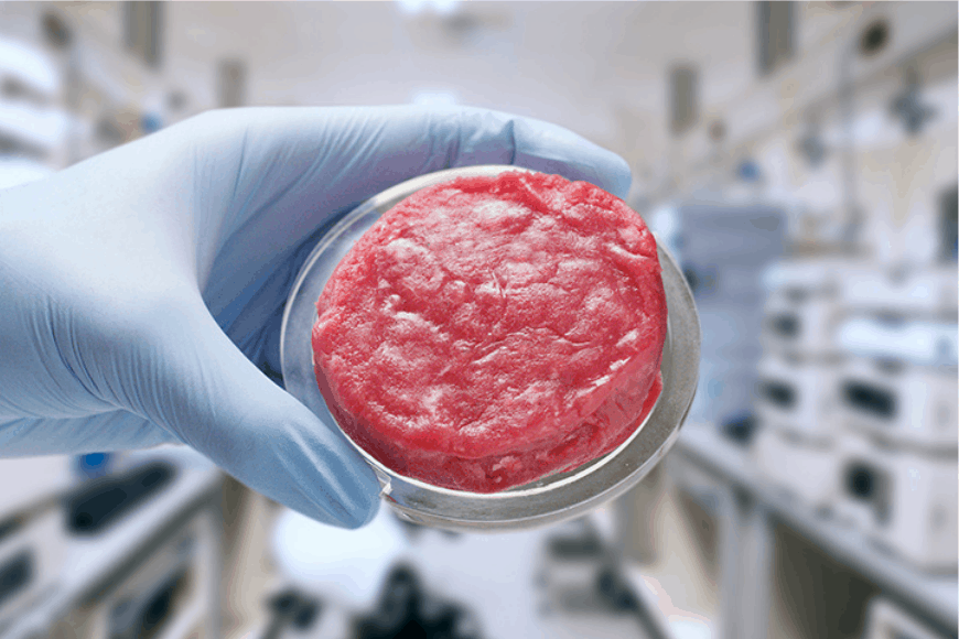 LabGrown Meat Is It as Sustainable as It Seems? Brightly