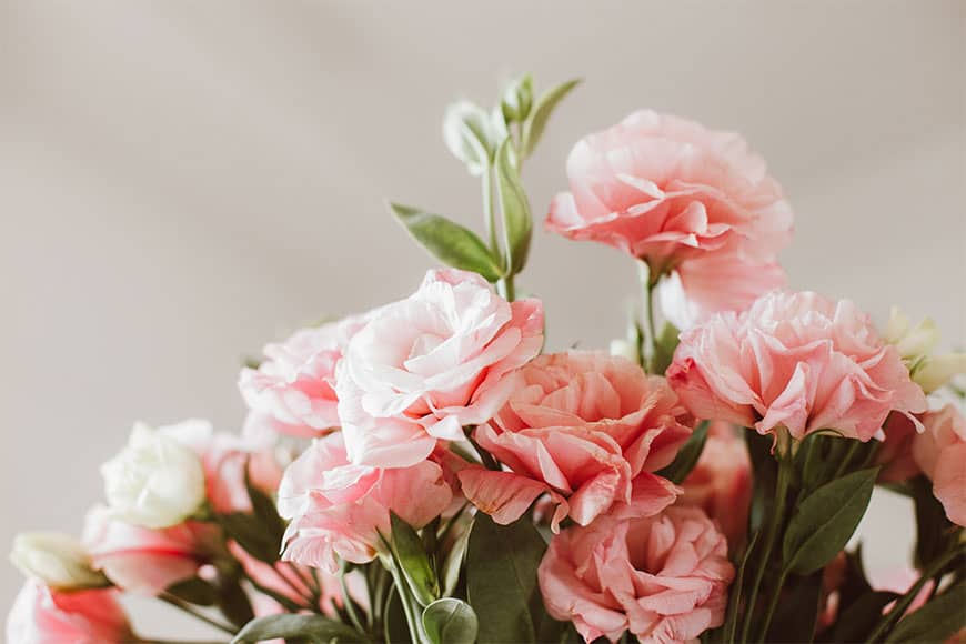How to Keep Flowers Fresh 9 Simple Tricks That Actually Work Brightly