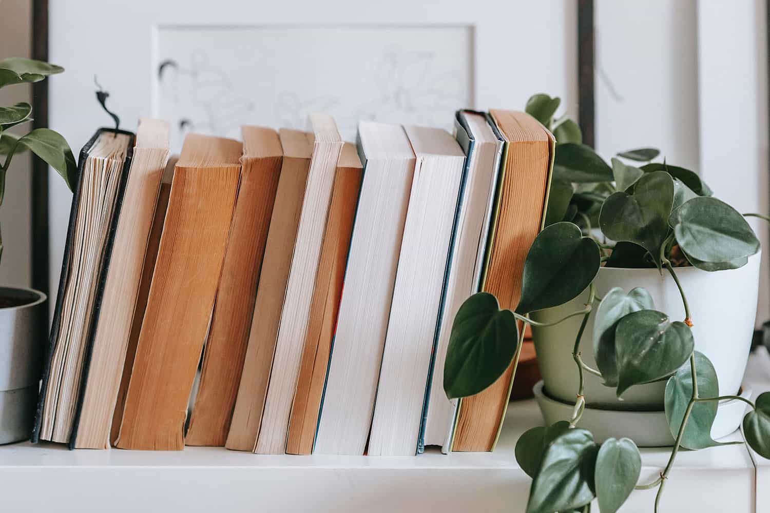 How To Recycle Books What To Do With Worn Out Books Brightly