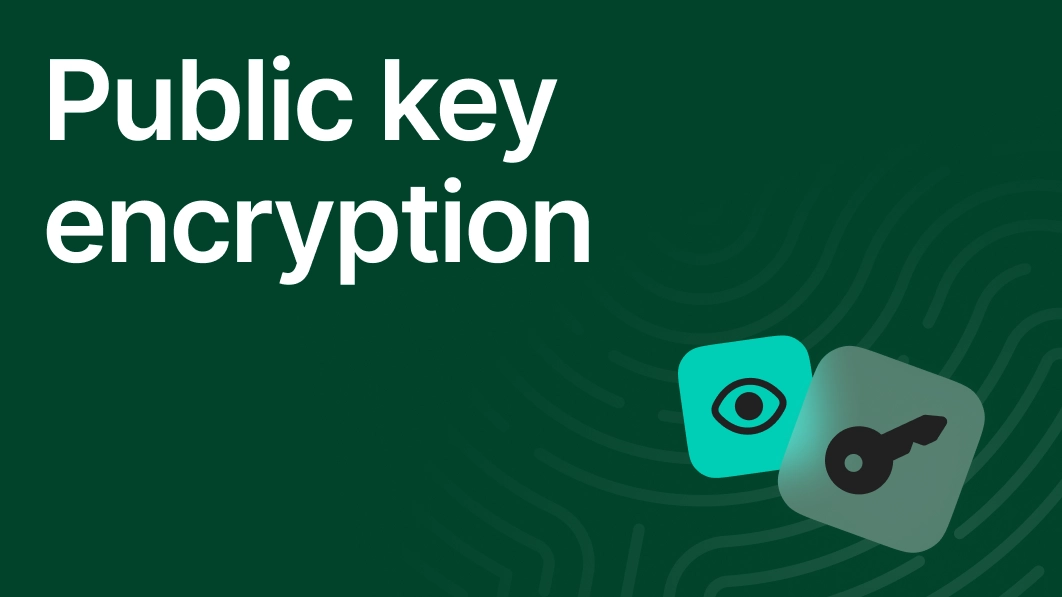 The words 'Public key encryption' in white text on a dark green background. Below the text are two square digital icons: one turquoise with an eye, and one light gray with a key.