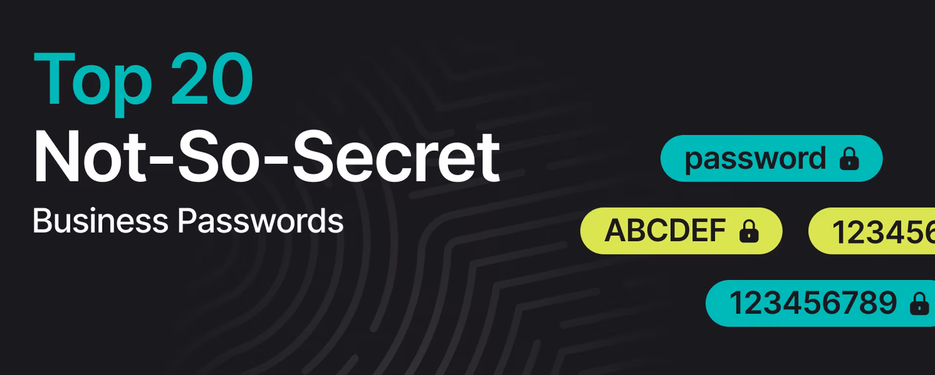 top 20 not so secret bisiness passwords