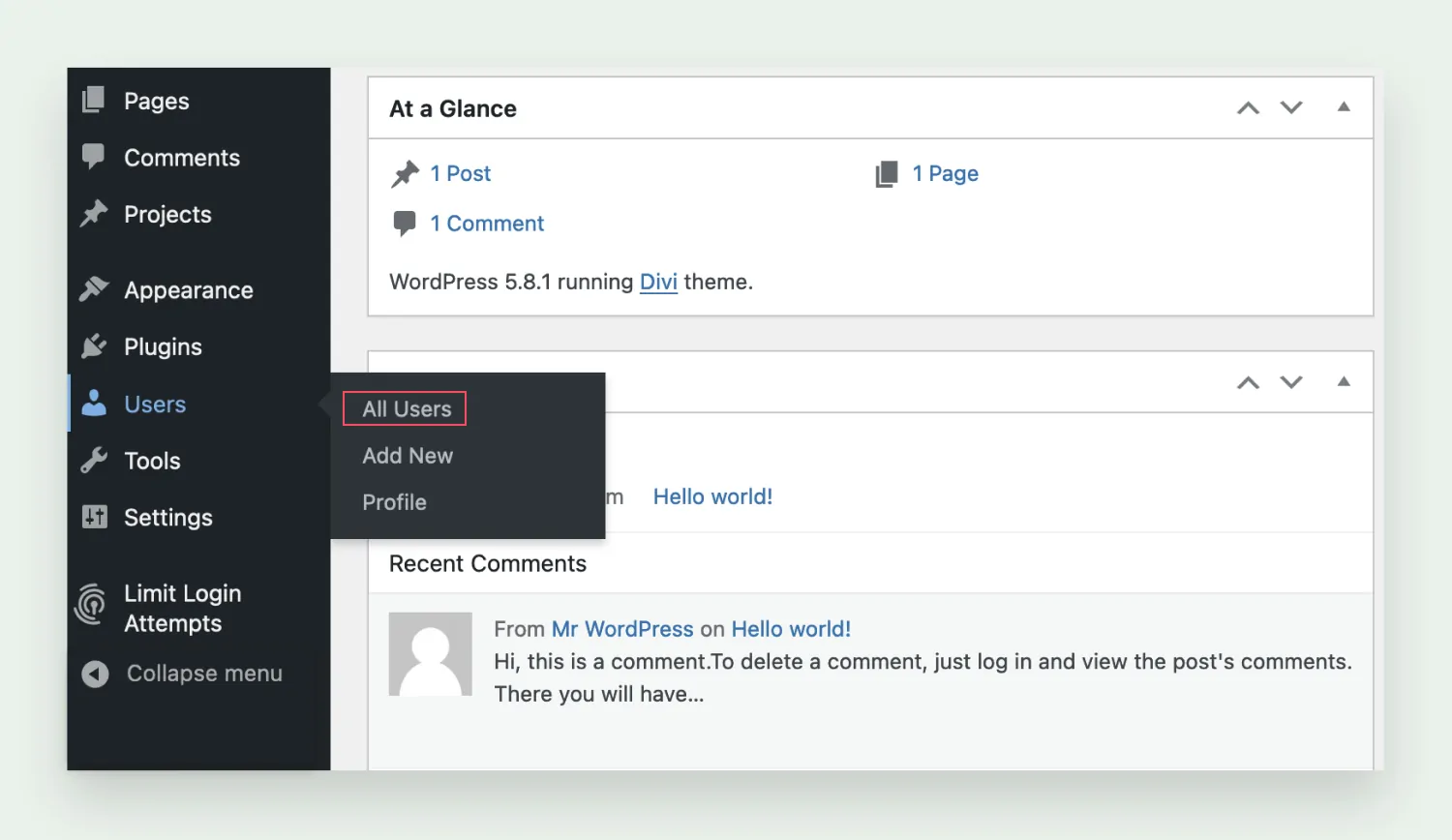 wordpress1