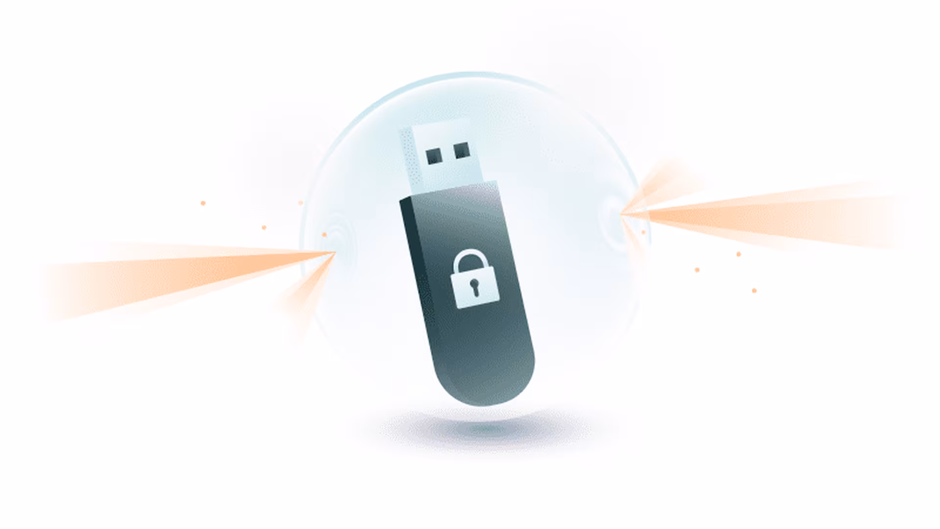 Encrypted flash