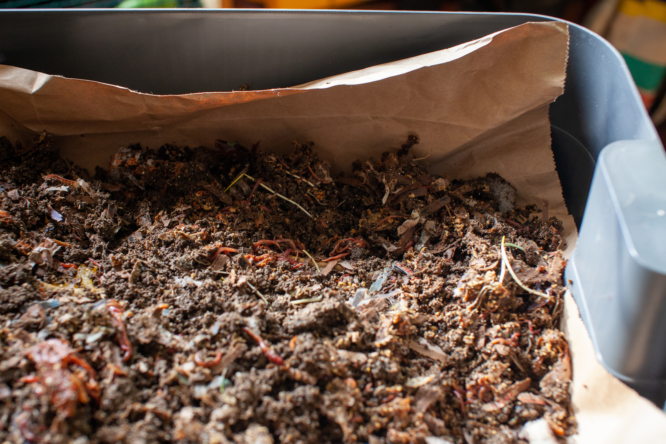Composting Works! How to Get Started at Home