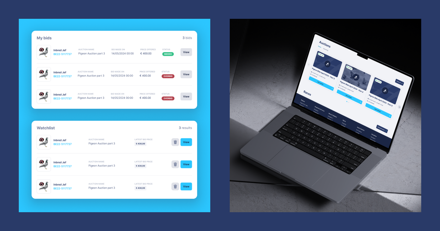 Case Image-2 - Herbots