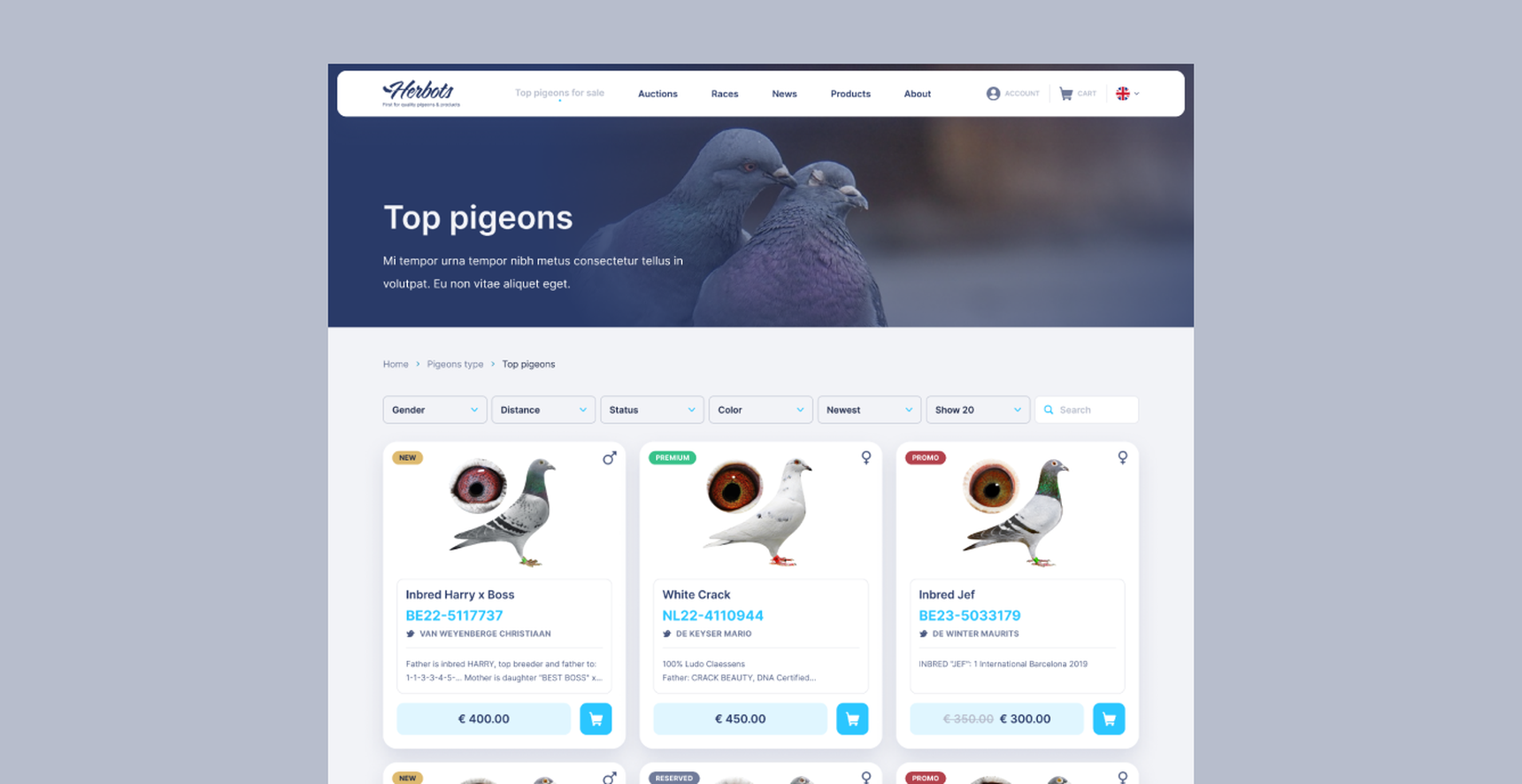 Main visual - Herbots