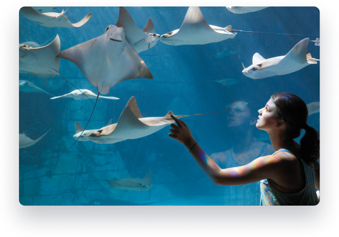 BlackLine Bash at SeaWorld Orlando