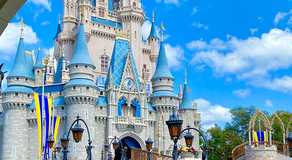 Michael Burgess Sells Disney