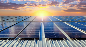 Michael McCaul-backed SolarEdge Falls Despite Strong Earnings