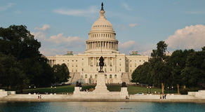 Latest Disclosures Put Congressional Trades Under the Spotlight