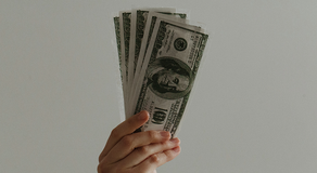 Greg Steube’s Spouse Continues To Stock Up on SNV