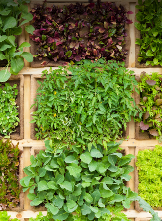 le meilleur moment pour planter ses plantes et aromates
