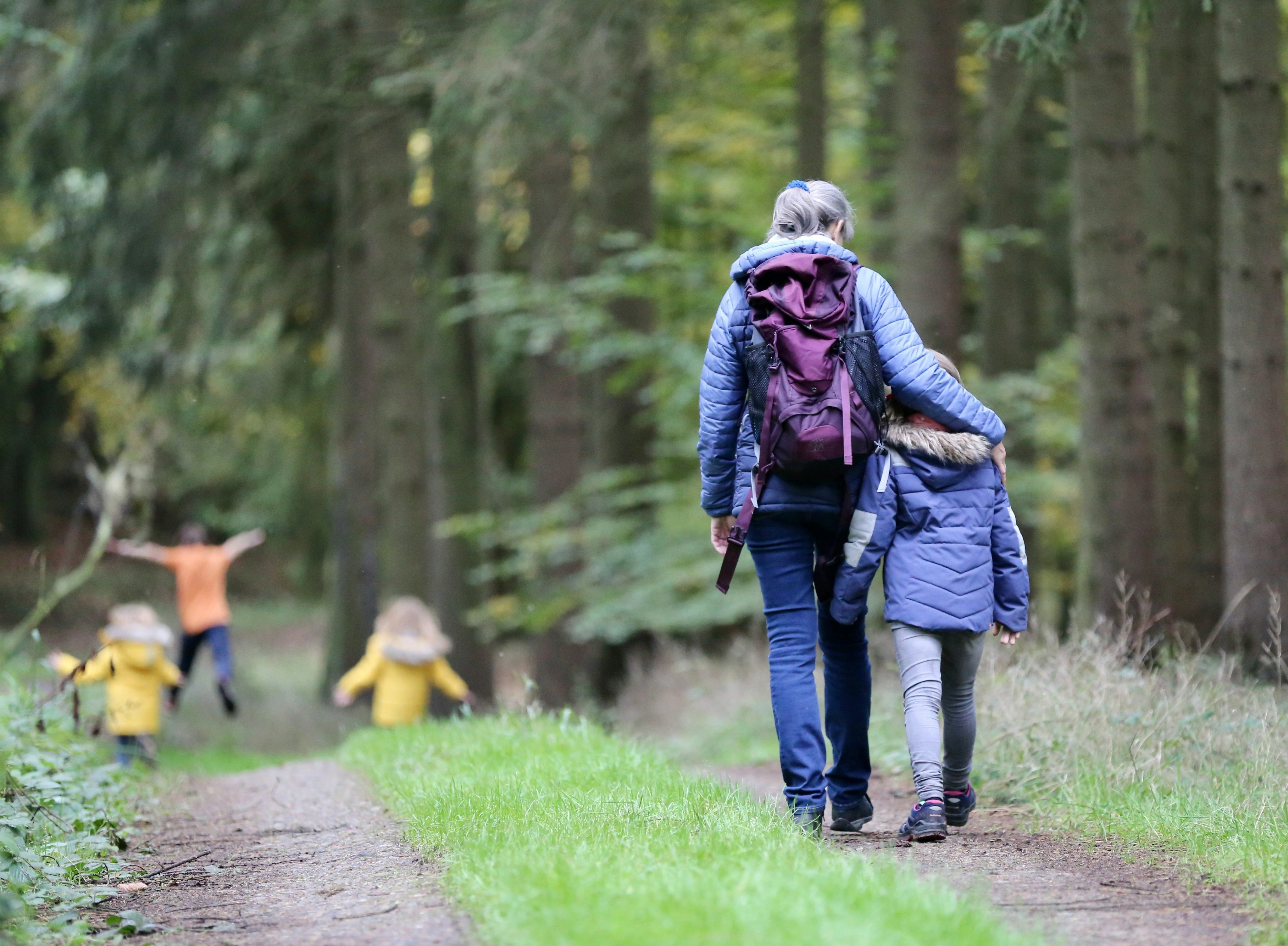 Eine Frau und ein Kind in Jacken gehen auf einem Waldweg, während zwei Kinder vorauslaufen, umgeben von hohen Bäumen und Grün.