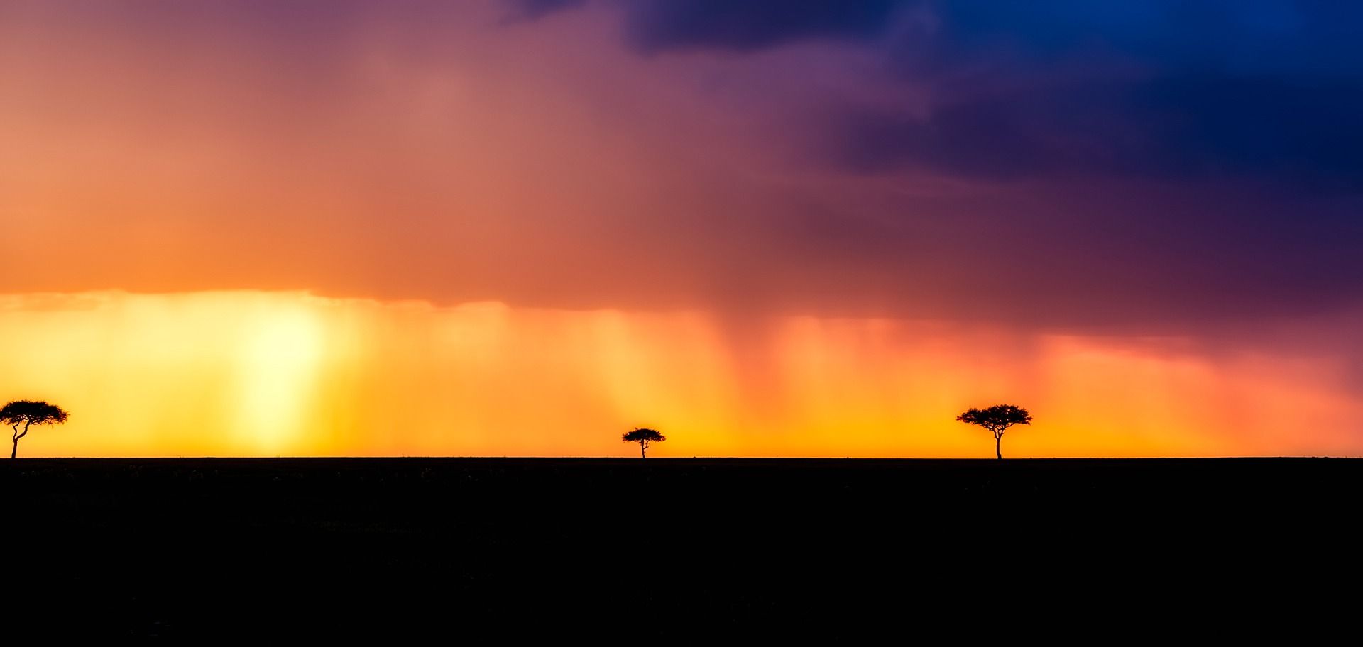 Rainstorm backlit by sunlight with trees in the background