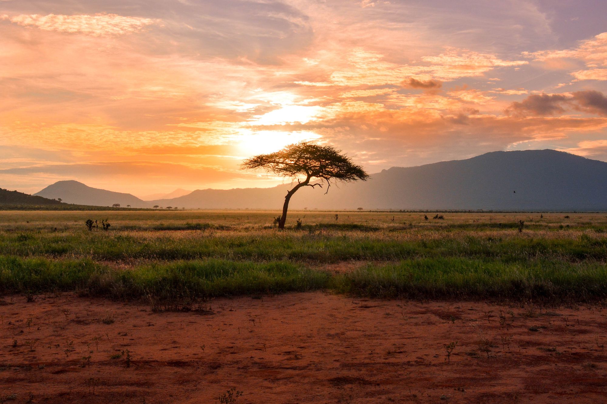 Sunset at Tsavo East National Park