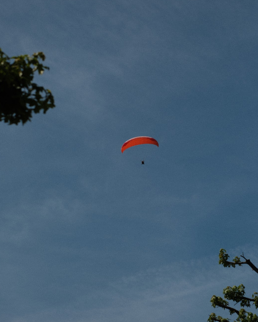 lario-2