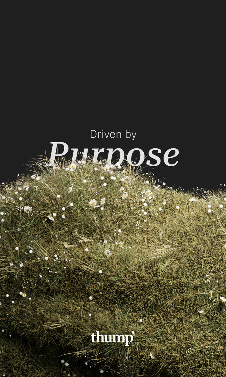 thump_slide_images_03