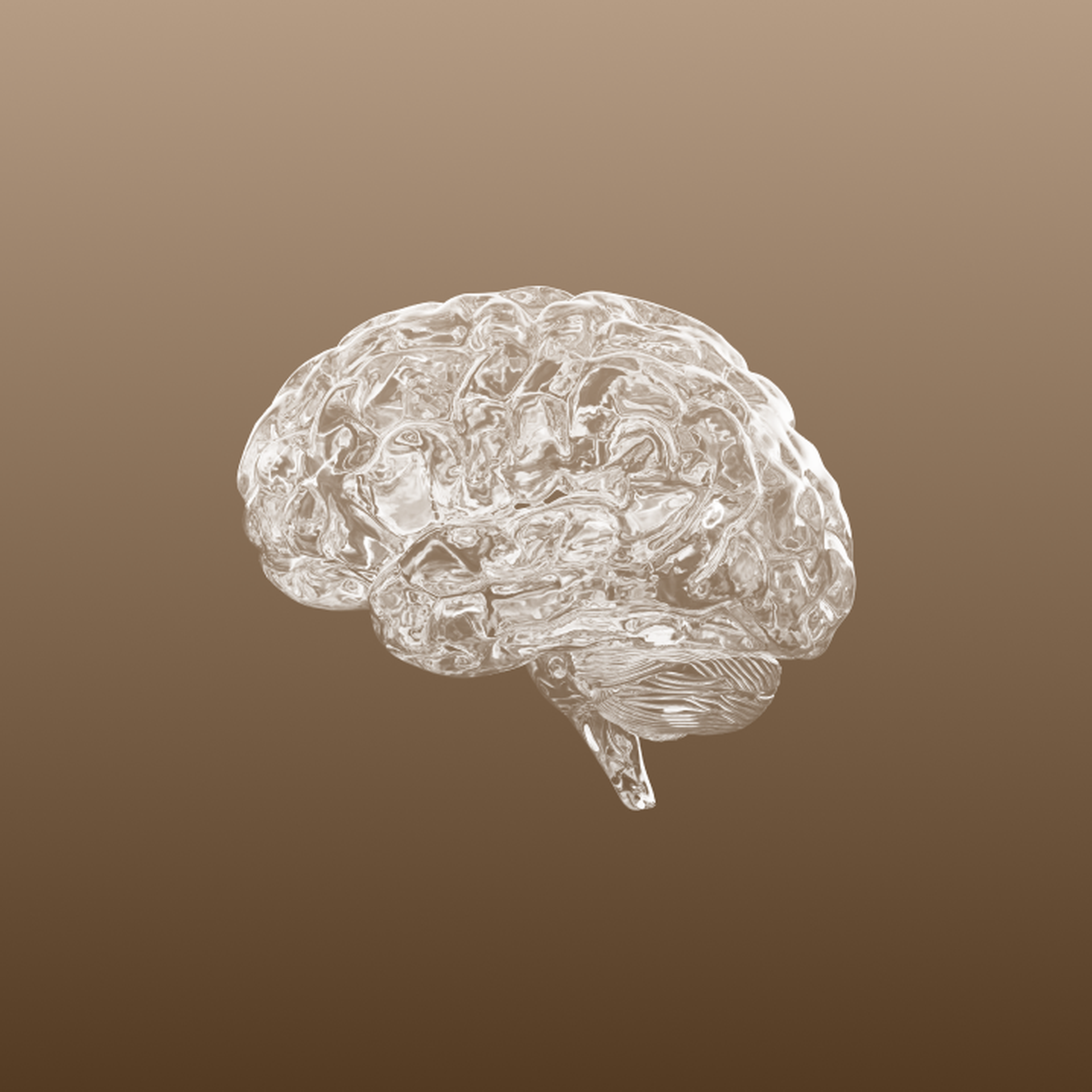 photo51-brain