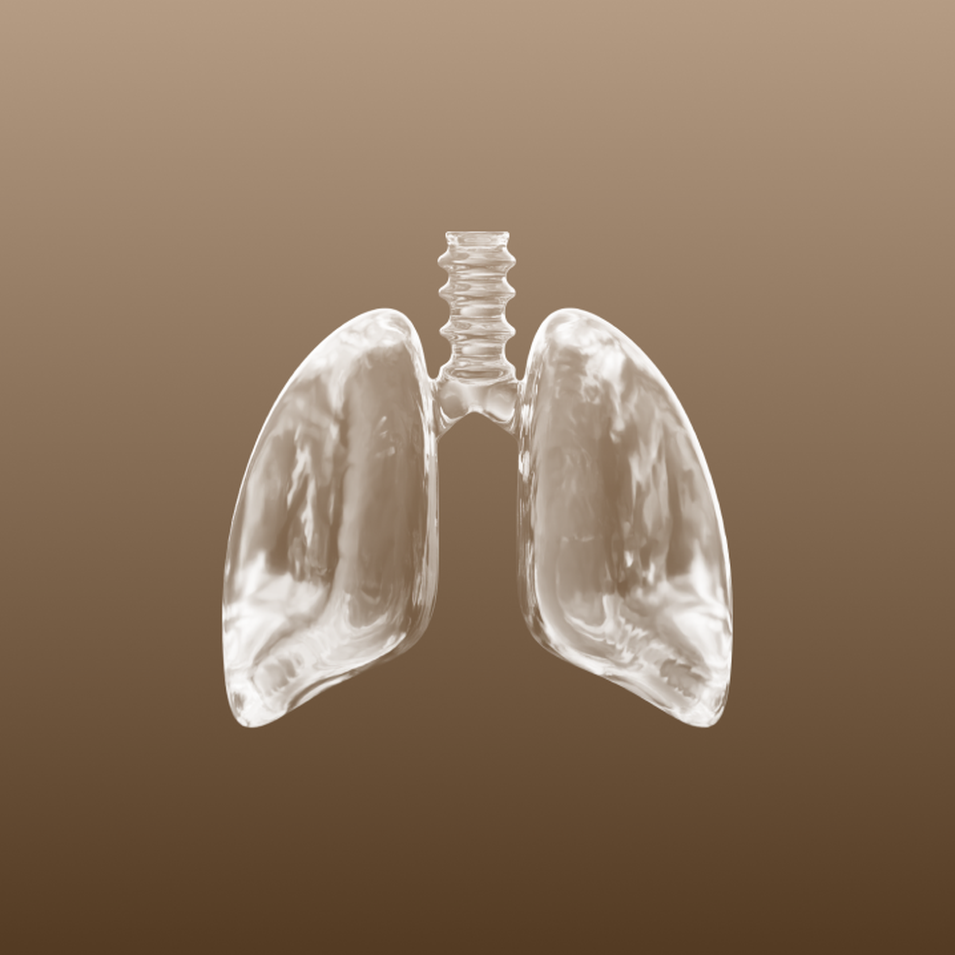 photo51-lung