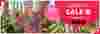 Sommer-Sale bei atelier GOLDNER – 25 % Rabatt auf alles mit Code EXT25