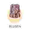 Blusen von atelier GOLDNER