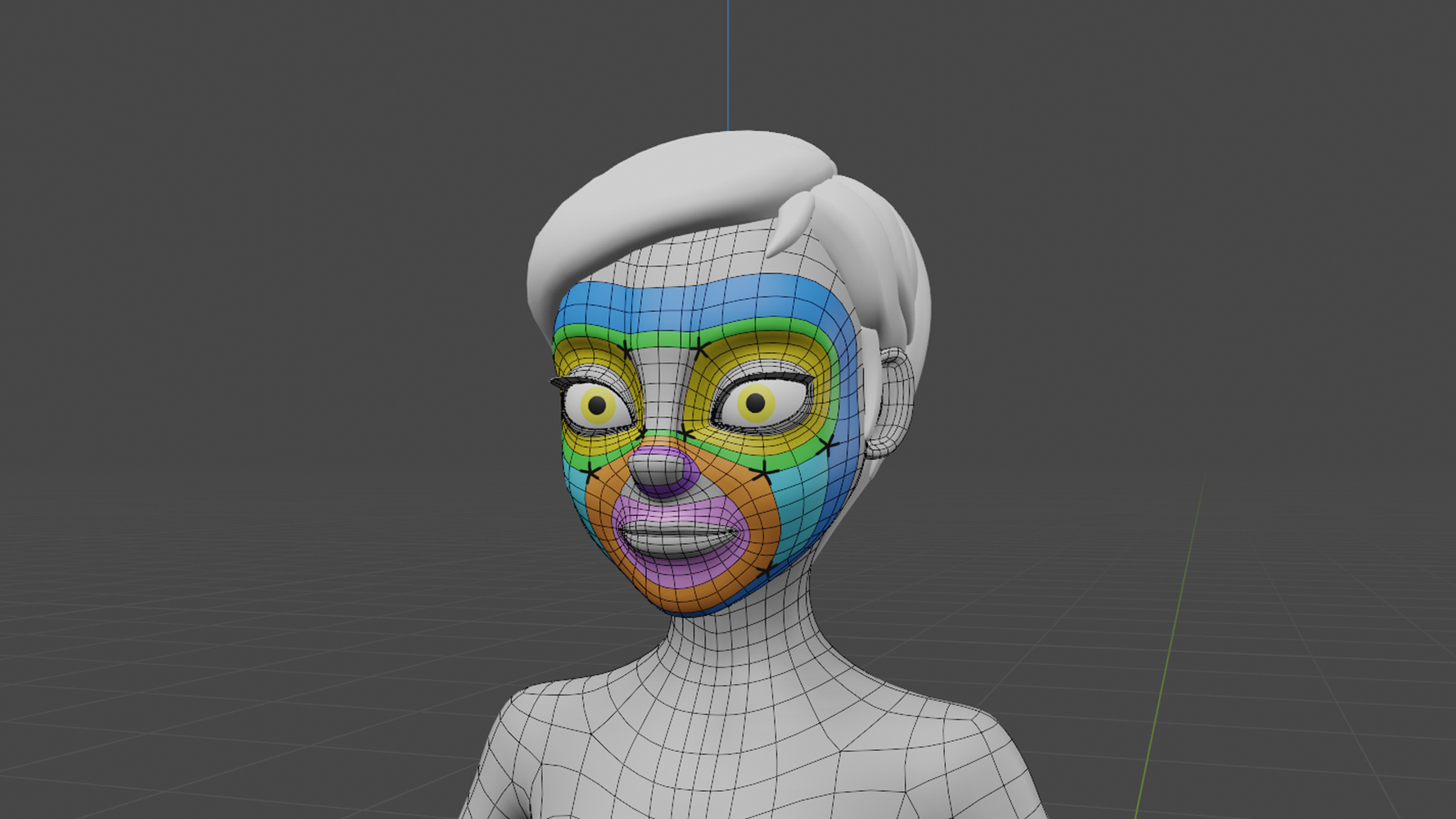 Topologia e struttura viso