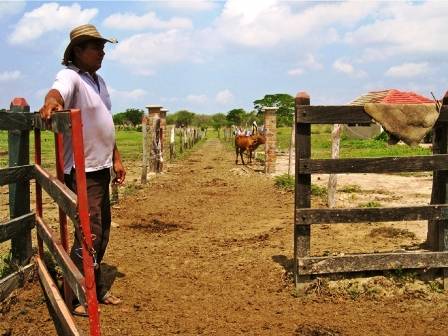 repoblamiento bovino, San Vicente de Chucurí, núcleo agropecuario, 