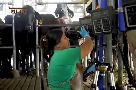 Servicios y capacitación a veterinarios