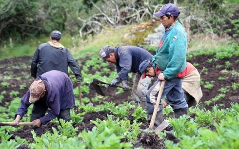 ganadería, ganadería colombia, noticias ganaderas, noticias ganaderas colombia, contexto ganadero, educación rural, acceso a la educación superior, educación superior en colombia, universidad de la salle, fundación universitaria del área andina, acceso a la educación superior para jovenes rurales, jovenes rurales, utopía universidad de la salle, 