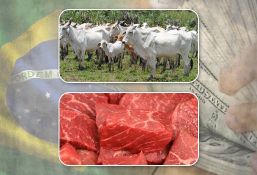 compras de carne y ganado de venezuela a brasil